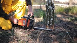 Best Lot and Land Clearing  in Thompsonville, CT