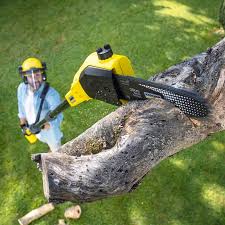 Best Lawn Renovation and Restoration  in Thompsonville, CT